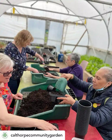 Calthorpe Community Garden - A Masterclass in Urban Composting