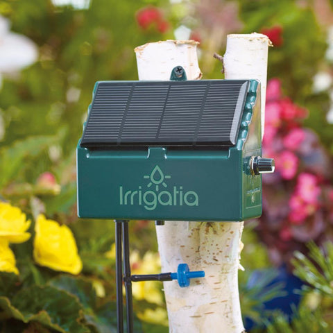Irrigatia Watering System at EvenGreener