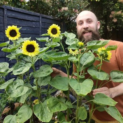 The Beardy Gardener X EvenGreener Blog Feature | World Mental health Day 2022