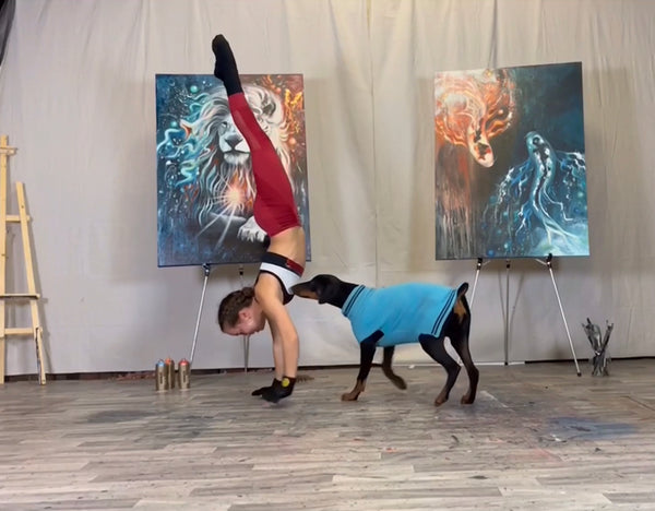 @bri_fitzpatrick , multidisciplinary artist, Briana Fitzpatrick, artist who paints with her feet, contortion artist, archery artist, barn studio, artist studio, artist in studio, handstand walking, Doberman pinscher puppy 
