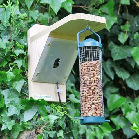 bird feeder camera