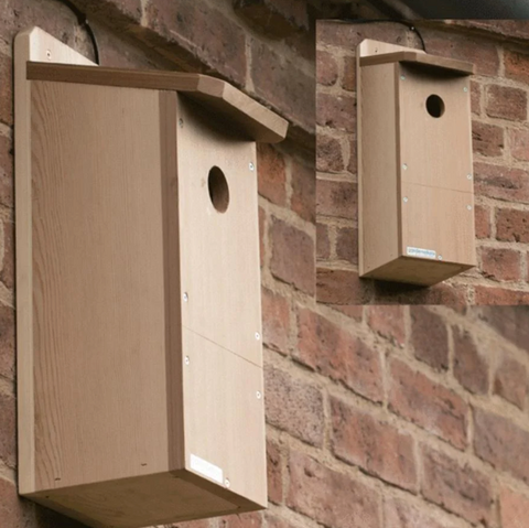 nest box camera