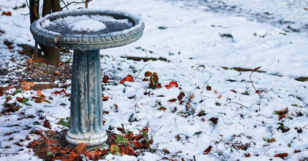 Bird Bath Bath Table