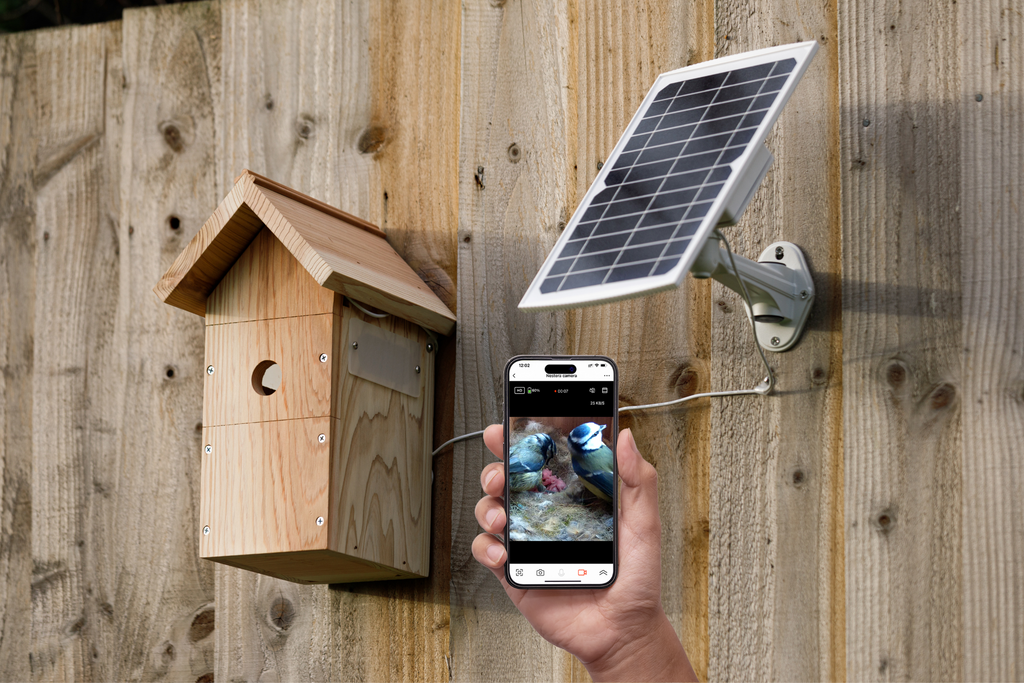 Solar-Powered WiFi Bird Box Camera System