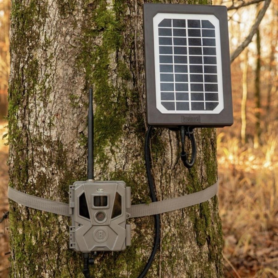 bushnell solar panel