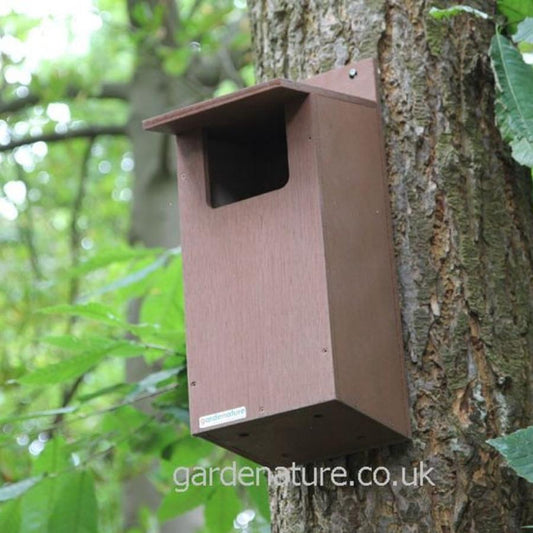 WiFi Nest Box Camera  Barn Owl Box Company