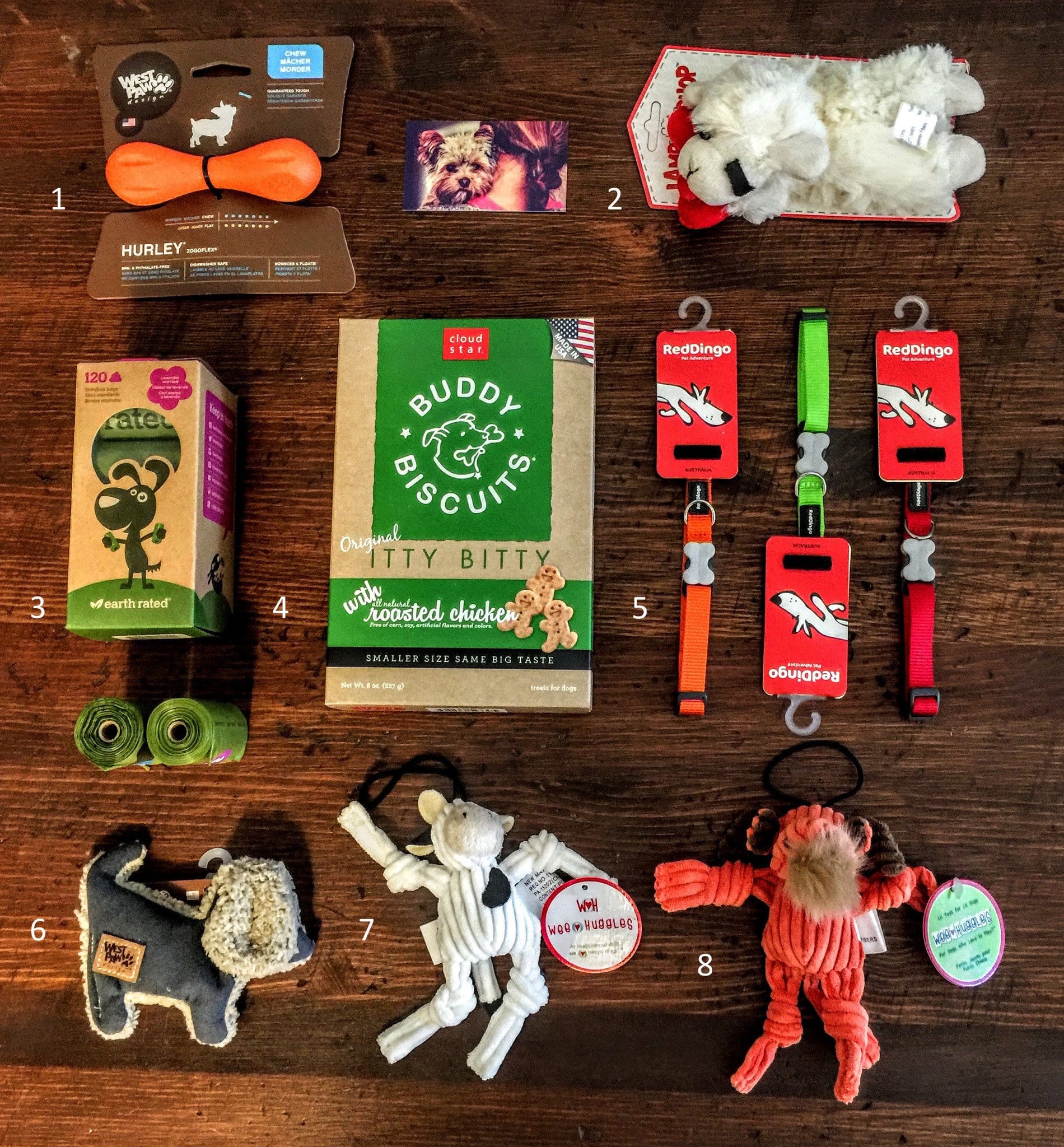 Small Dog Gift Ideas Under $10.