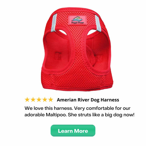 American River Dog Harness with review