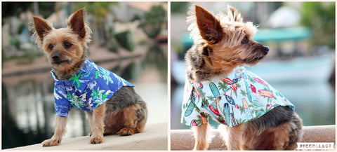 dog hawaiian shirts