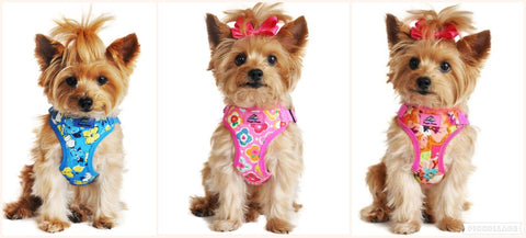 Hawaiian wrap and snap small dog harness