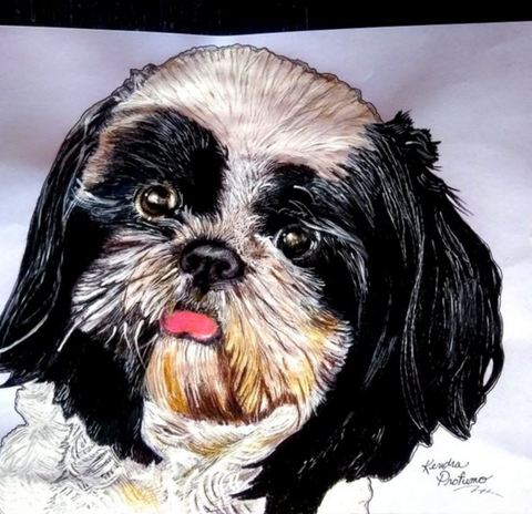 Kendra Profumo - Shih Tzu