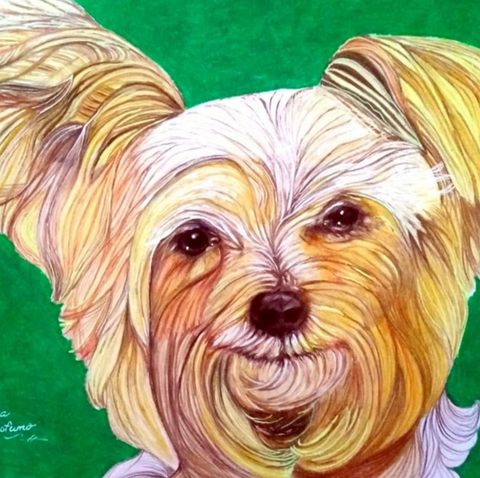 Kendra Profumo - Yorkie