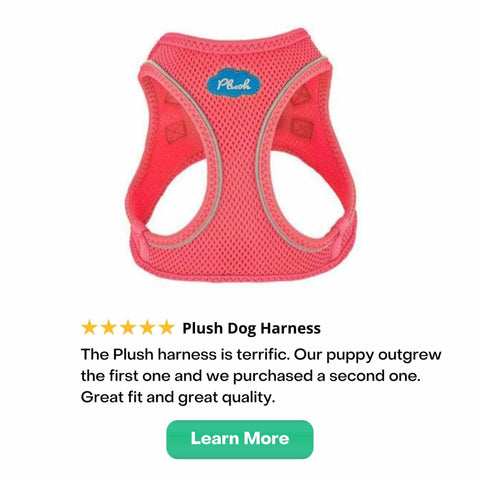 Plush Dog Harness with review