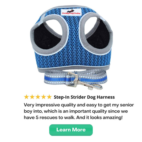 Step-in Strider Dog Harness with review