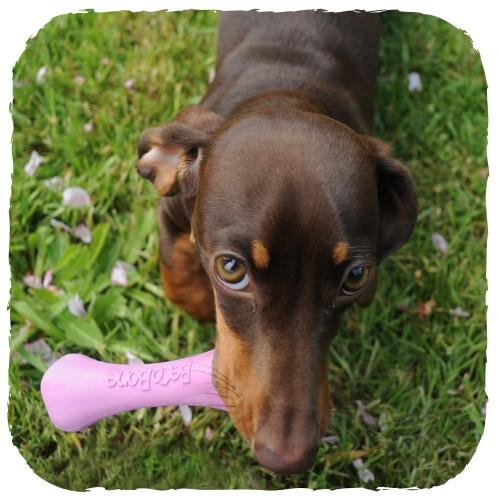 beco bone dog toy