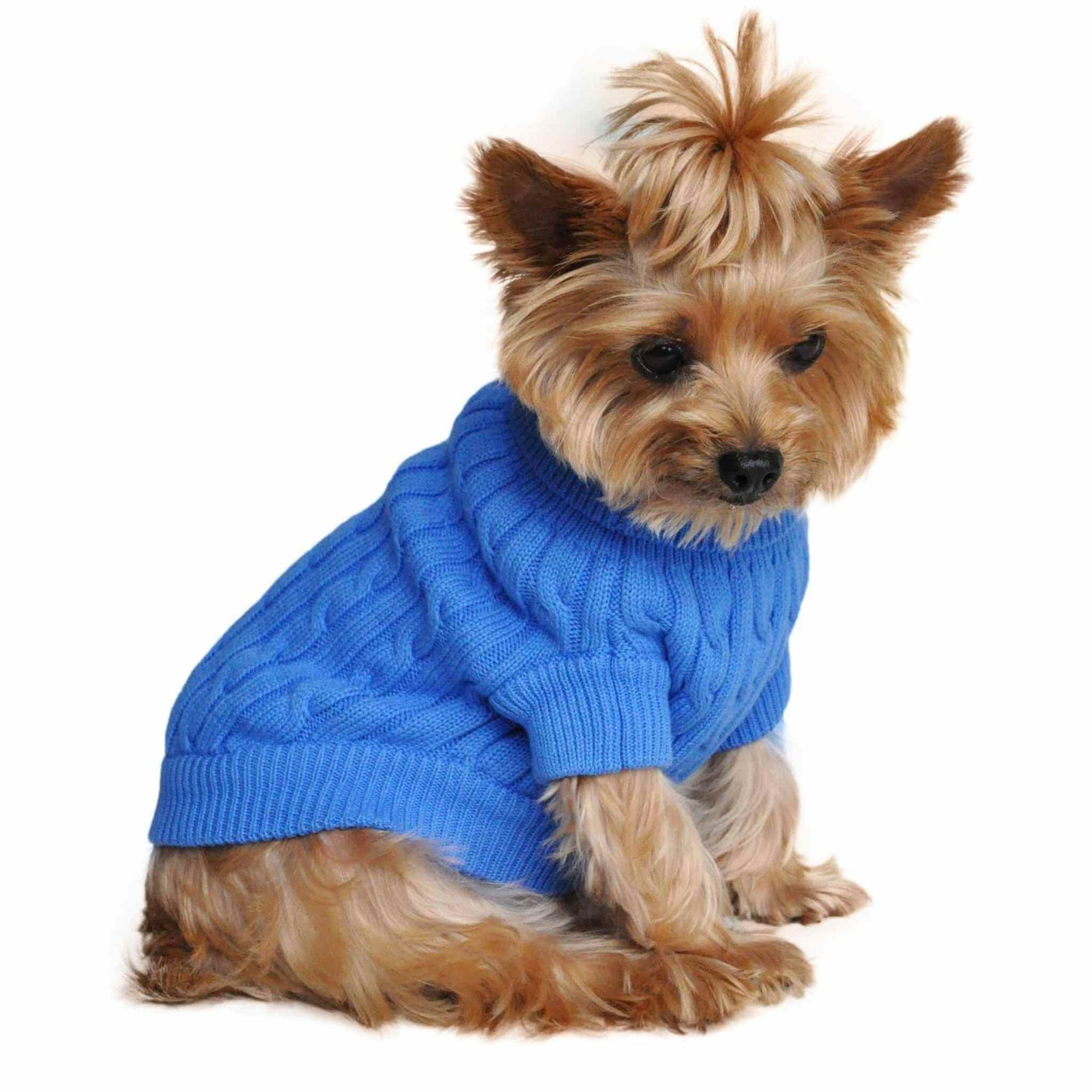 male small dog clothes