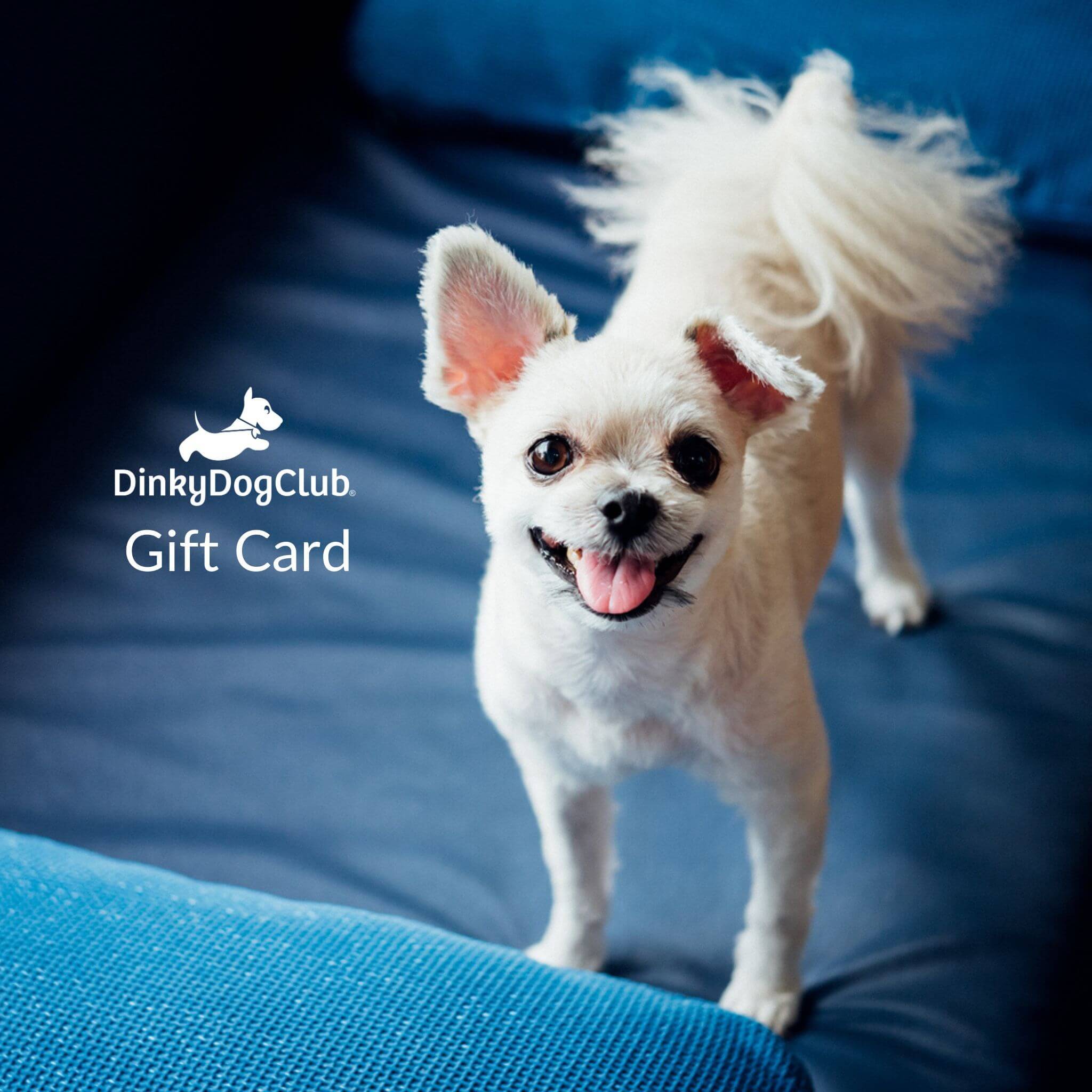 DinkyDogClub Gift Card- The Perfect Gift for Small Dog Owners