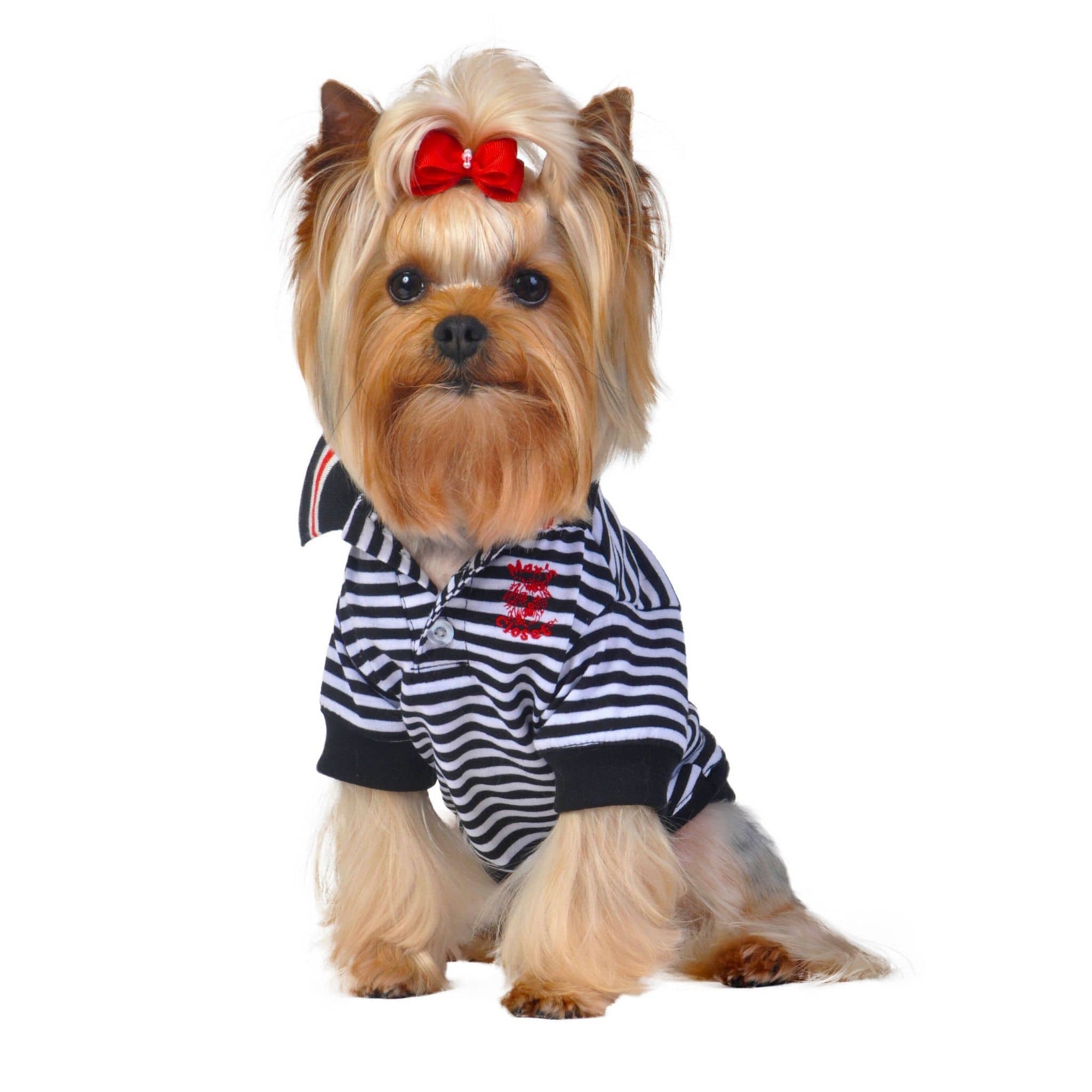 black and white striped dog shirt