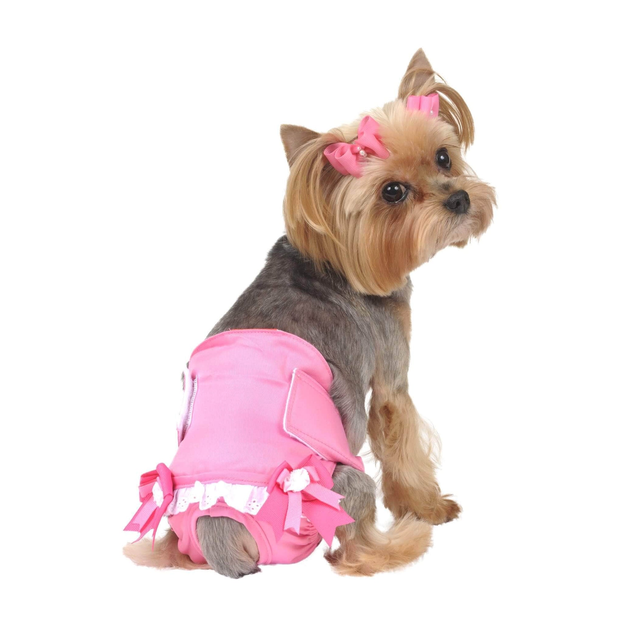 best diapers for female dogs