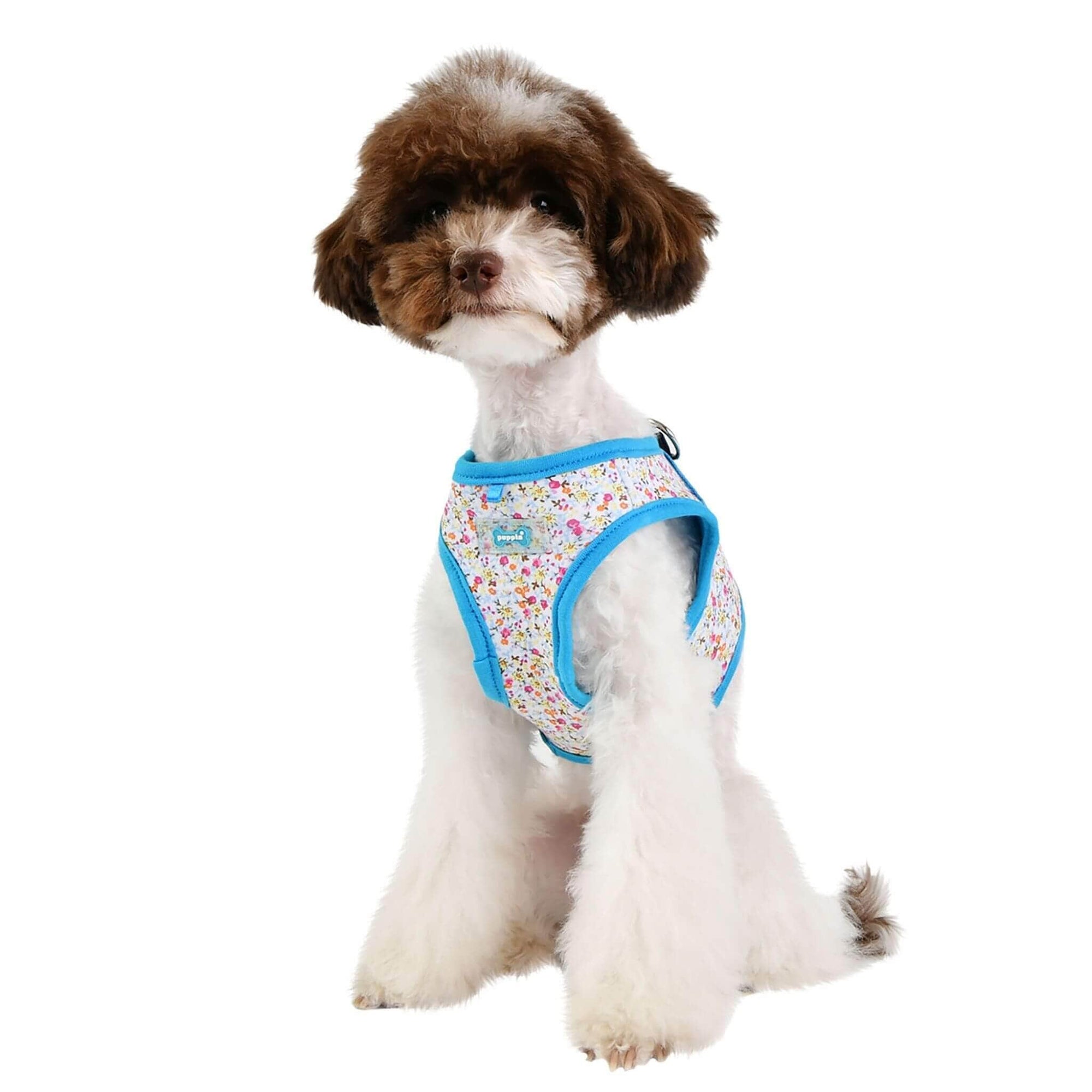 dog shirt harness