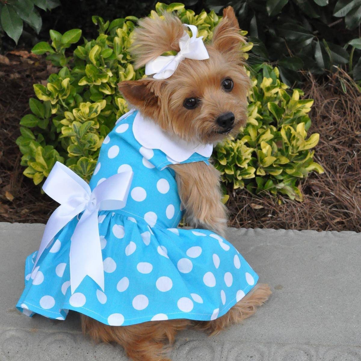 Платье для маленькой собачки