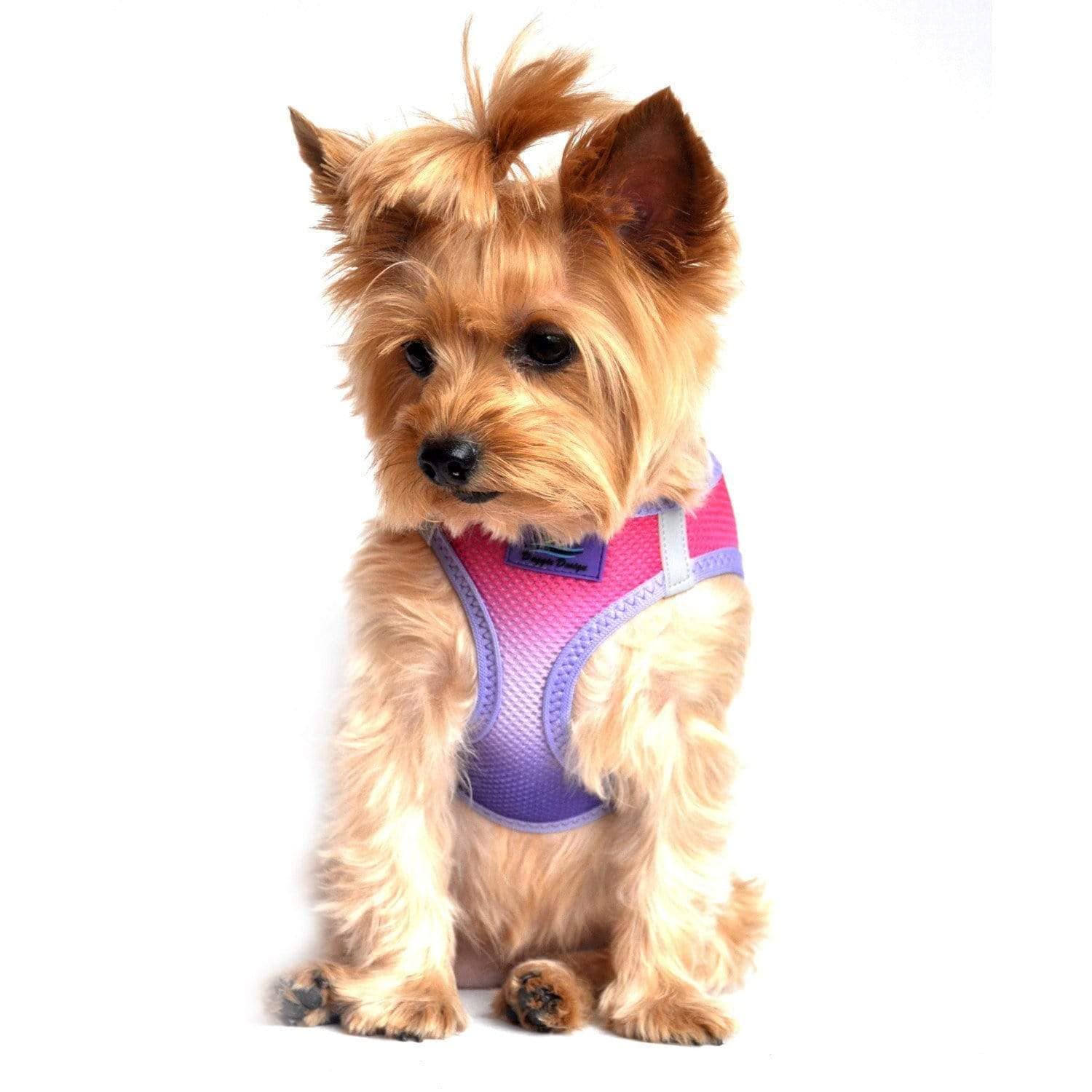 Small Dog Harnesses Sizes For Dogs From 2 25 Pounds DinkyDogClub   Harness American River Dog Harness Ombre Collection 1 2500x 