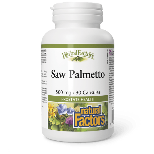 Saw Palmetto 500 mg, HerbalFactors for Natural Factors |variant|hi-res|4253