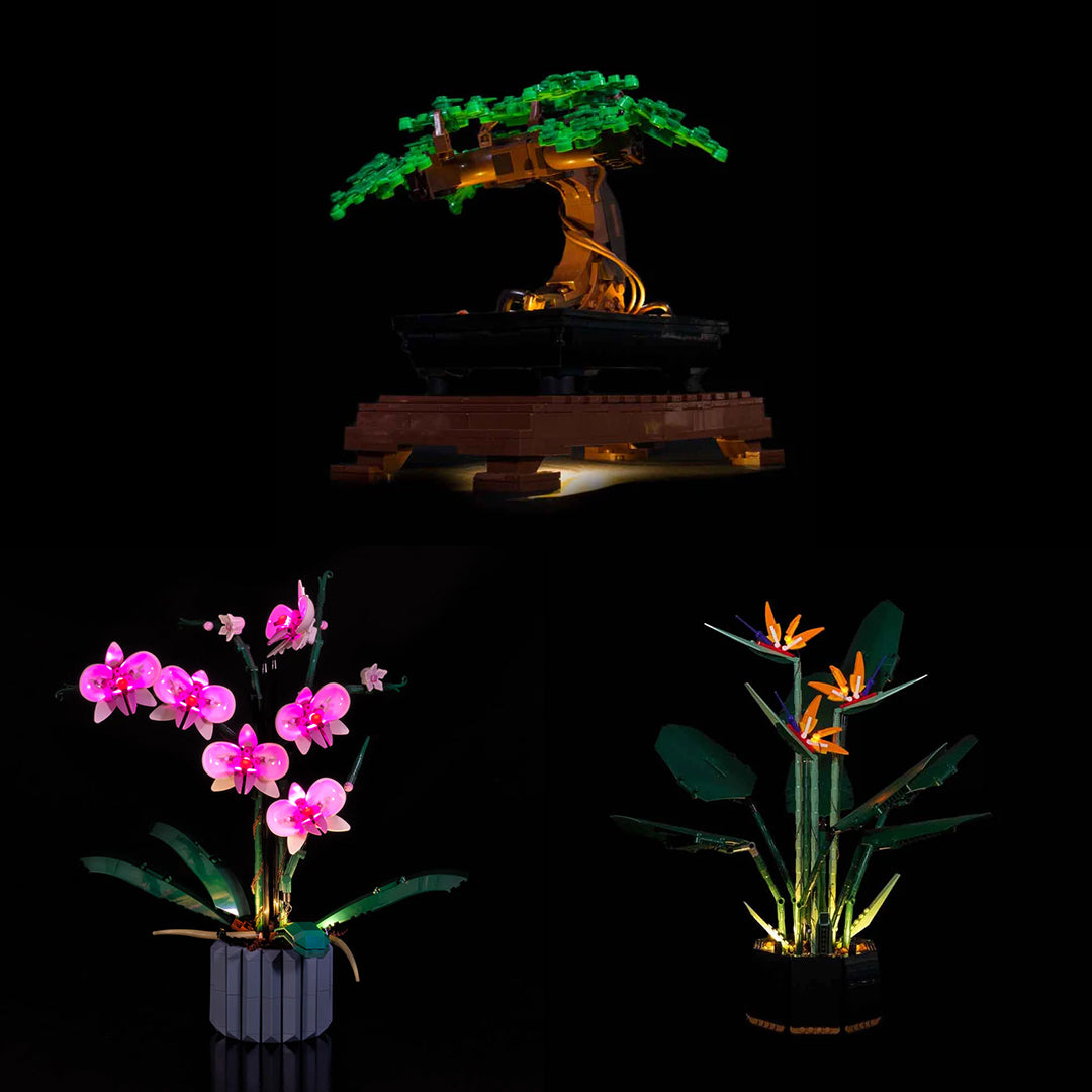 LEGO Botanicals Light Kits