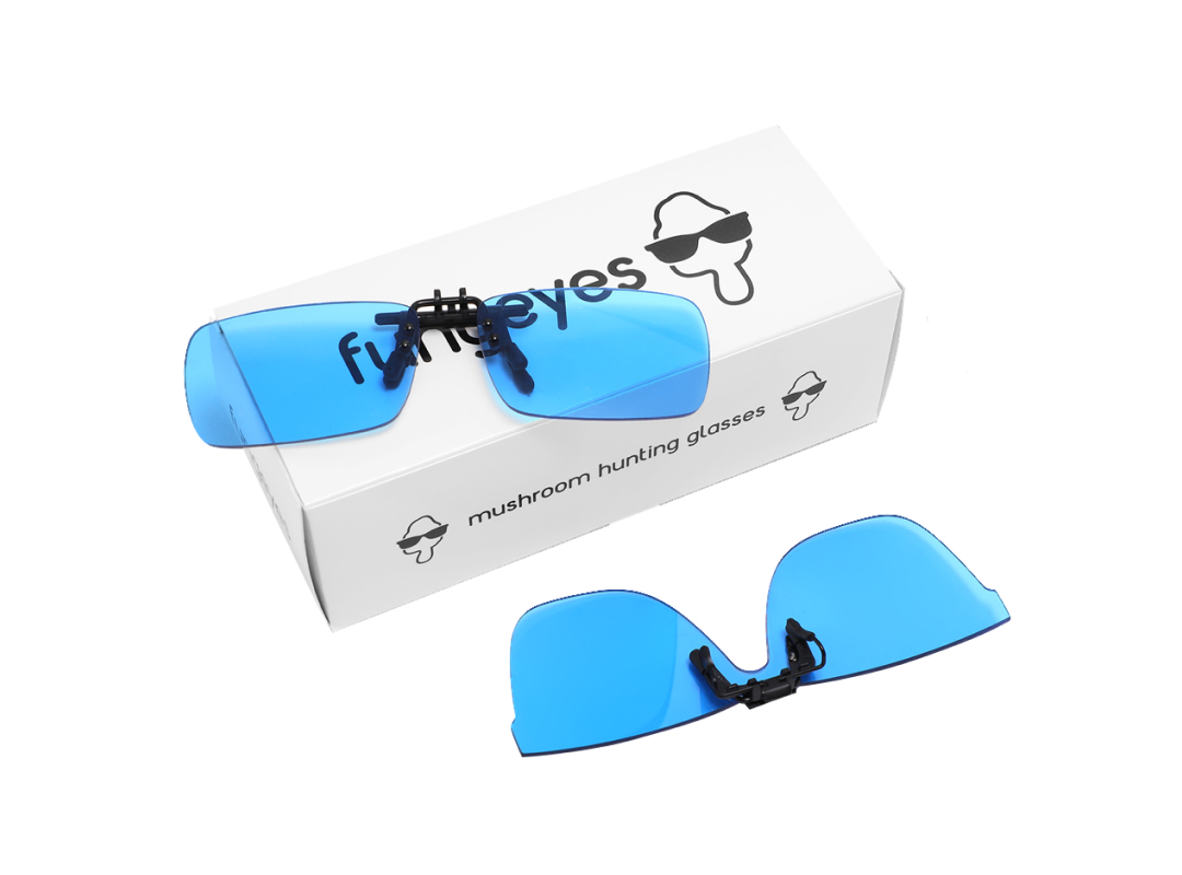 Fungeyes Clip-On Glasses