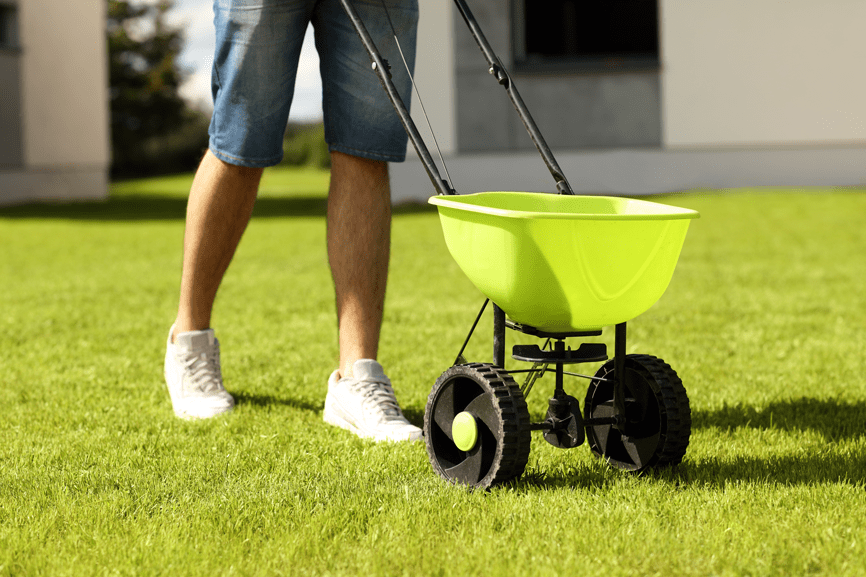Man Using Fertiliser spreader on lawn