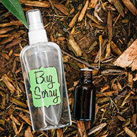 All-Natural Essential Oil Bug Spray