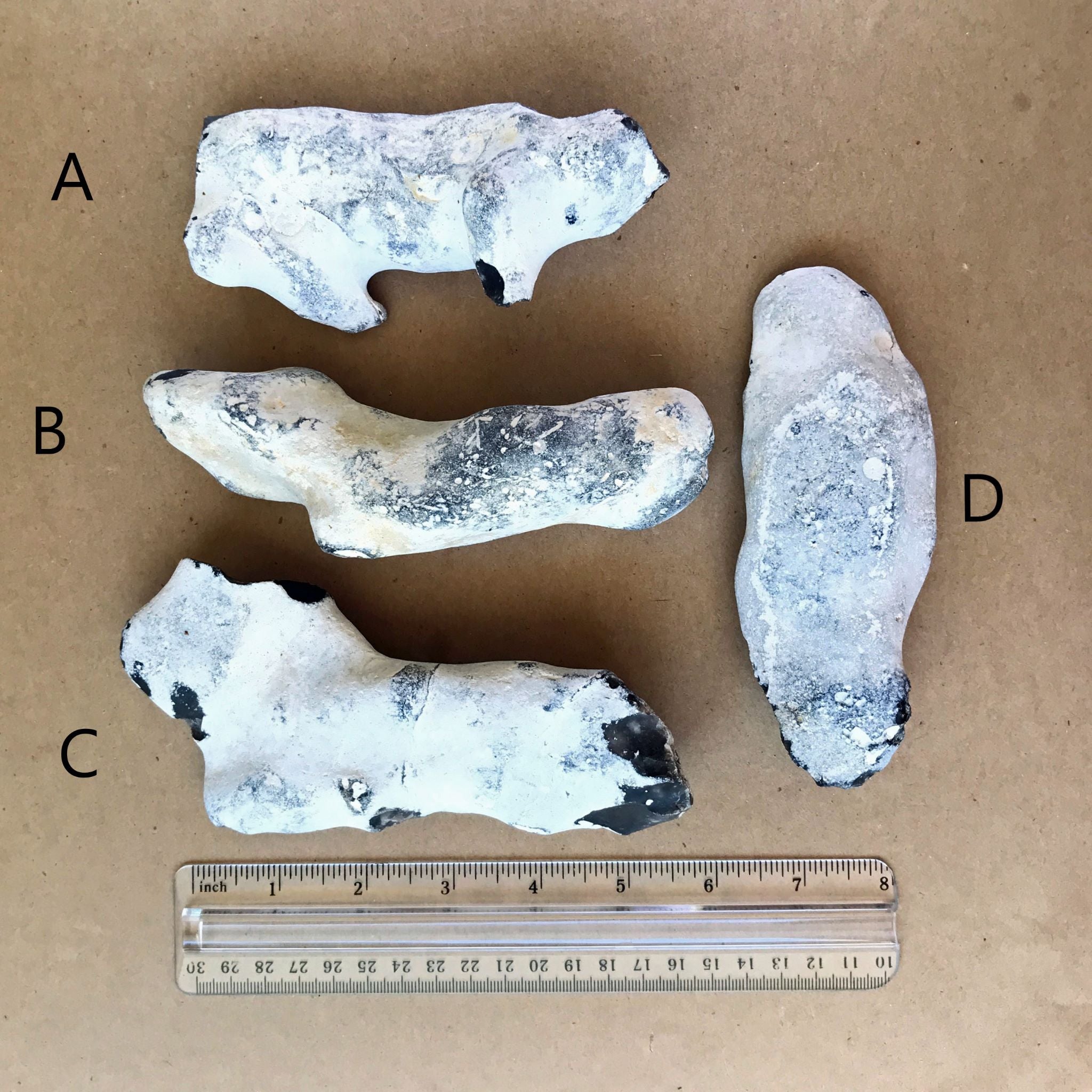 English Flint Nodule Specimens with Cortex -- Medium