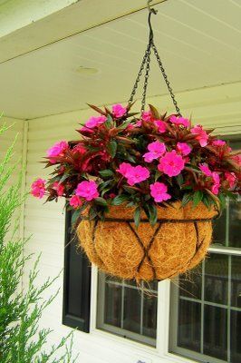 Hanging Pots with Magenta Flowers at your Garden Home