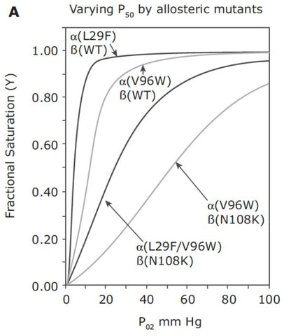 rHb variant oxygen binding point graph for MCAT practice question