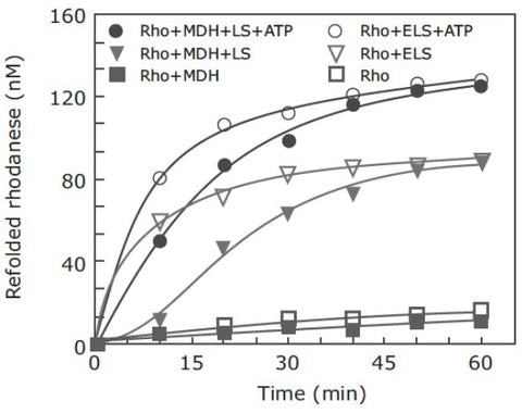 refolded rhodanese graph for MCAT practice question