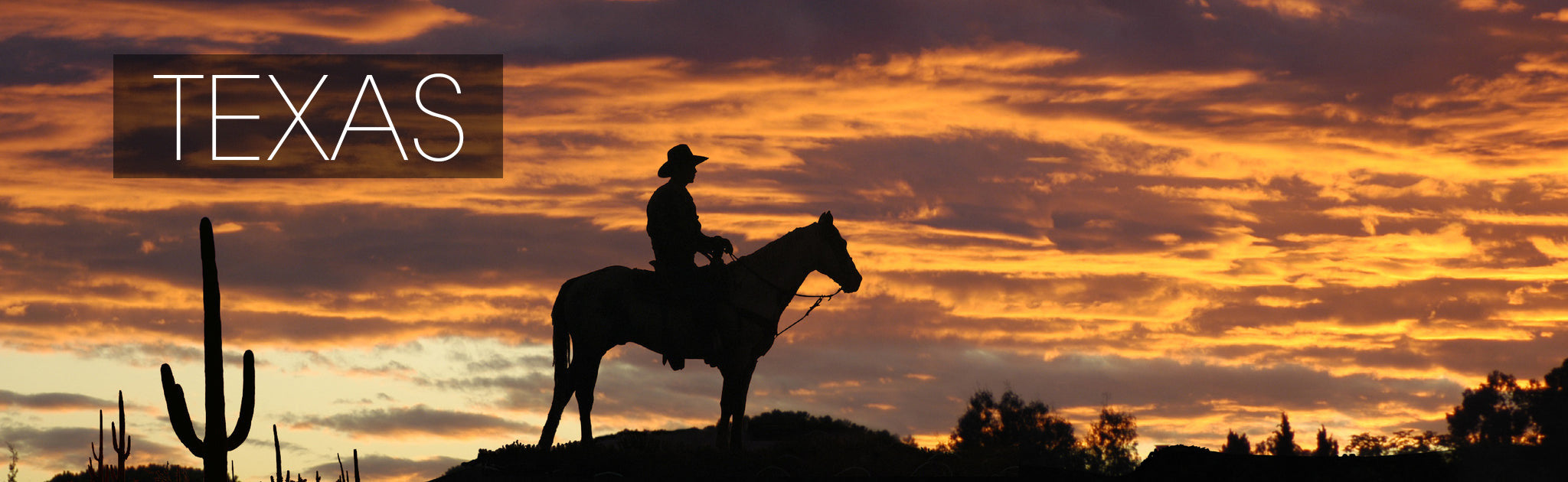 Gürtel Texas