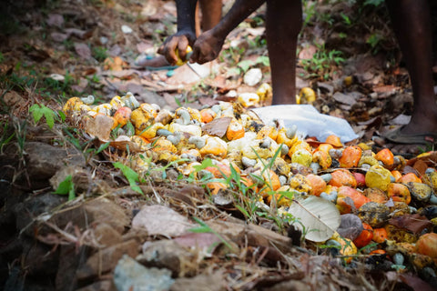 Cashew fruit will become a rich ingredient to feed back into the soils