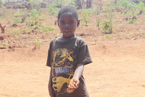 Children like Chikondi Moyo love eating macadamia due to their great taste and nutritional value.