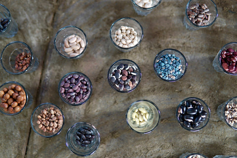  A SMALL SELECTION OF THE HUNDREDS OF SEEDS ON DISPLAY