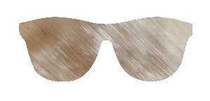 horn sunglasses