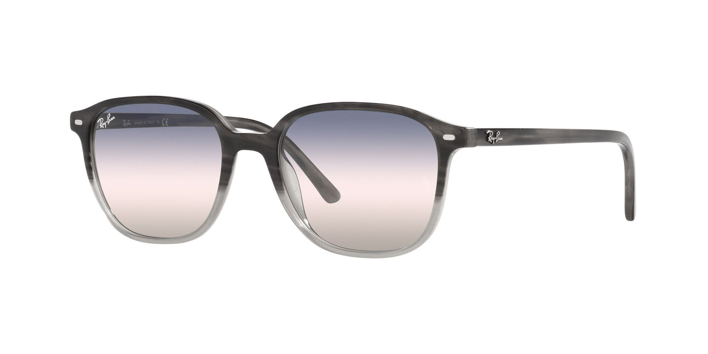 Ray-Ban Leonard RB2193 Sunglasses | Fashion Eyewear