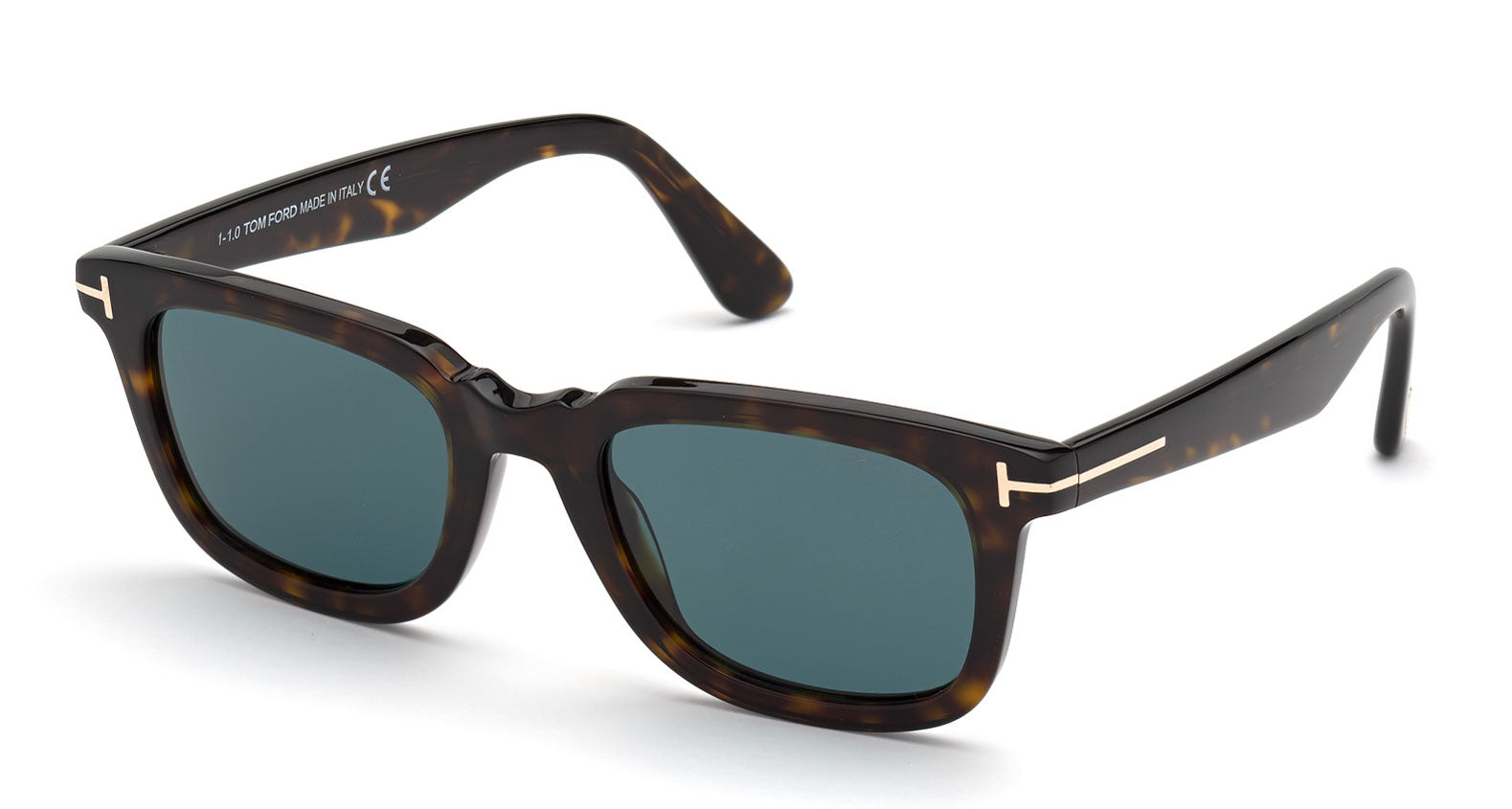 Tom Ford Dario TF817 Sunglasses | Fashion Eyewear