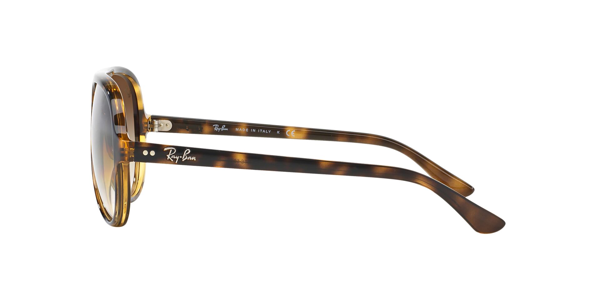Ray-Ban Cats 5000 RB4125 Sunglasses | Fashion Eyewear