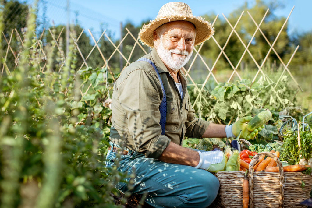 Man in farm using organic fertilizer