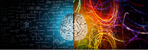 brain iq intuition creativity performance productivity