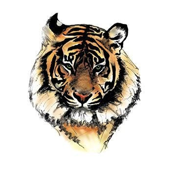 Page 45  Hand Draw Tiger Images  Free Download on Freepik