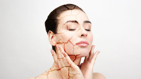 Understanding the skin type - dehydrated or dry