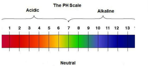 what exactly is pH
