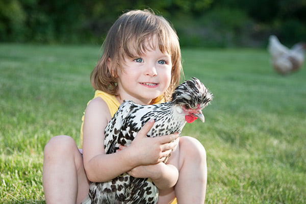 A young girl holds a pet chicken
