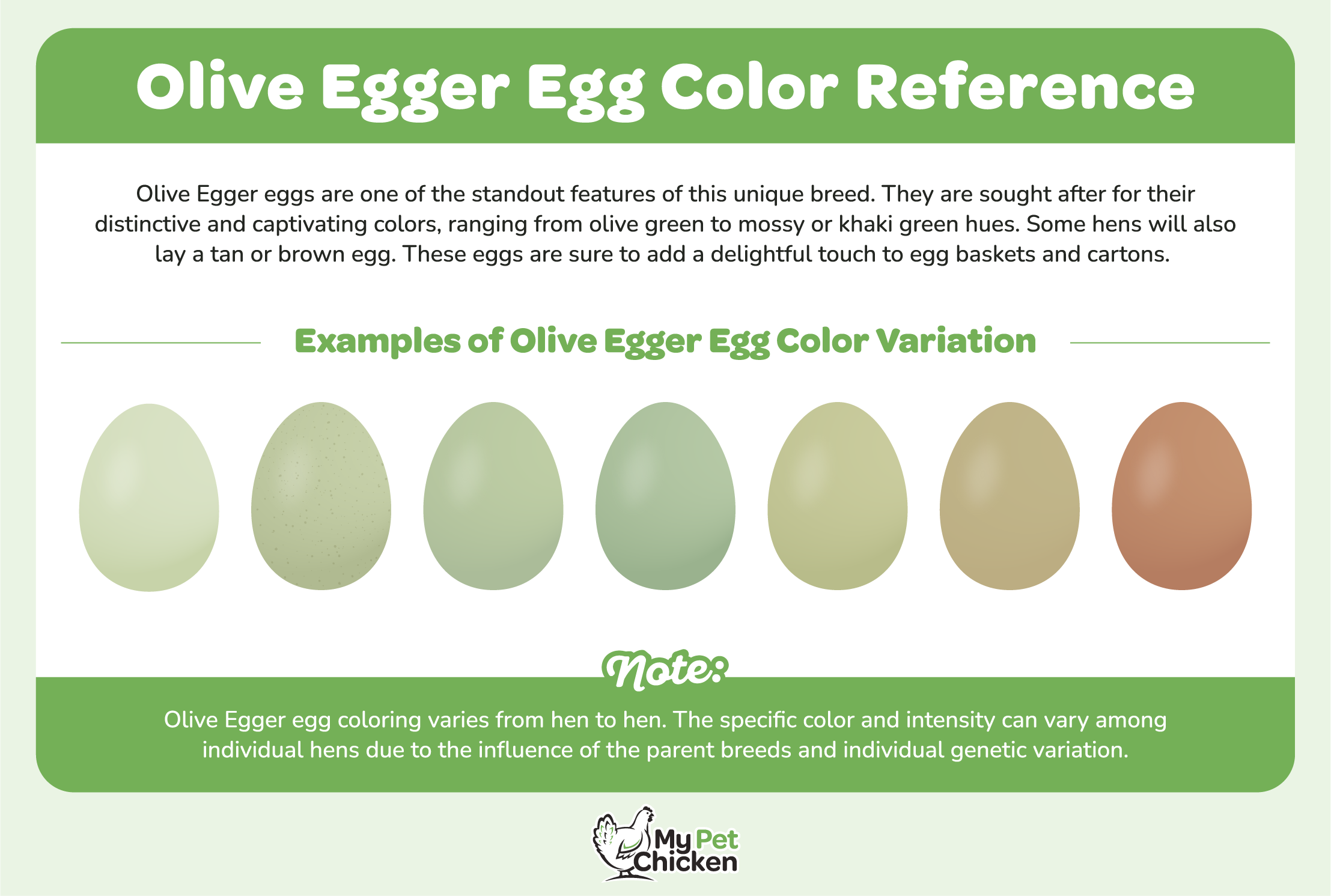 This Olive egger Chicken egg reference chart lets you know what colors to expects your hens to lay.